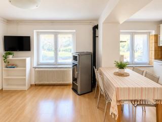Prestige Alpine Apartment - Verzegnis Lake - 8