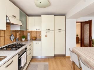 Prestige Alpine Apartment - Verzegnis Lake - 5