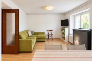 Prestige Alpine Apartment - Verzegnis Lake - 9