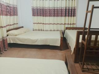 Green Family Residence - 4
