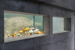 Paradise Villa Elysium - Sea View Infinity Pool with Waterfall & Jacuzzi - 7