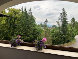 Wolfgangsee Ferienappartement „Bergliebe“ - 1