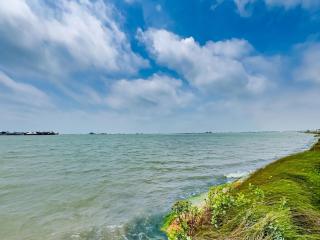 Little Bay House - 9