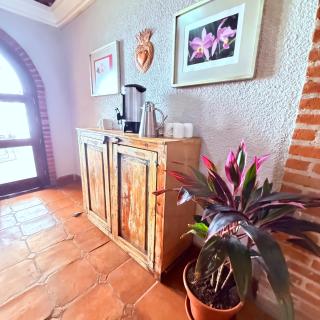 Hotel Casa Orquidea - 6