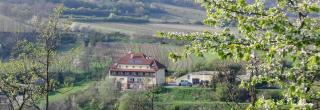 Pension Rudi - Weingut Kellner - Pulkau - 5