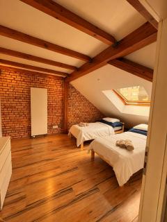 Charming 2 Room Loft Near Messe Basel - 3