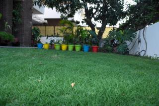 Spacious Retreat Central Chandigarh - 3