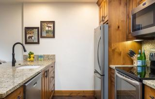 Vail Landmark 1 Bedroom Condo In Lionshead Village - 7