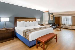 Best Western Mountain View Inn - 4