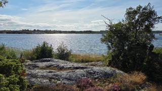 Archipelago cabins - 1