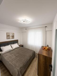Apartament Central Harsova - 0