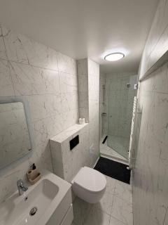 Apartament Central Harsova - 1