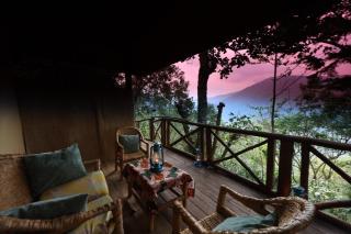 Silverback Gorilla Safaris & Resort Ltd - 9