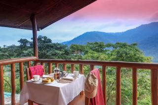 Silverback Gorilla Safaris & Resort Ltd - 7