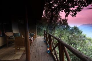 Silverback Gorilla Safaris & Resort Ltd - 2