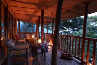 Silverback Gorilla Safaris & Resort Ltd - 1