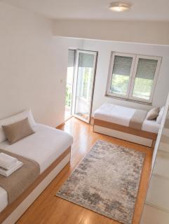 NEPA Apartment - 3