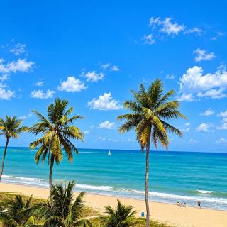 Vista Mar de Cinema no Caribessa - Pé na Areia! - 2