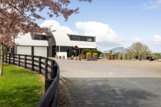 The Barn & Bivvy - Te Awamutu - 7