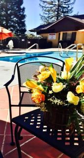 Best Western Plus Placerville Inn - Placerville - 2