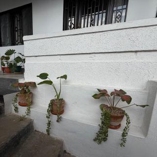 VG cozy homes - 2