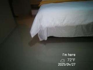 Dam view - 3