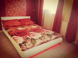 Apartament Carolina II - Toruń - 4