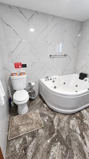 Elegant 3BR Kingston Loft with Private Rooftop - 2