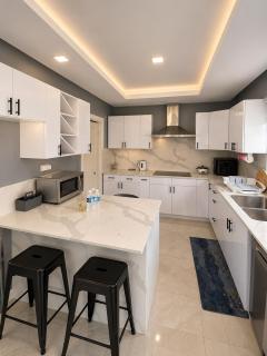 Elegant 3BR Kingston Loft with Private Rooftop - 1