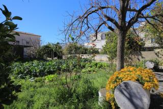 Family friendly seaside apartments Podstrana, Split - 23954 - 2