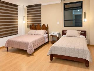 Modern apartment in downtown Loja - 8