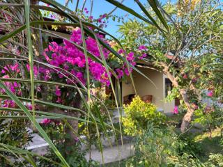 Dewenten Guest House - 8