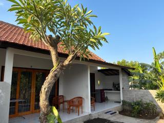 Dewenten Guest House - 6