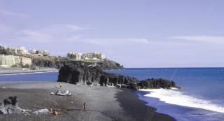 Charming Apartment 101 - Funchal - 5