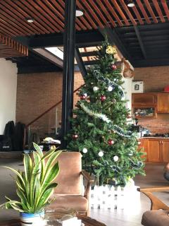 Rustika Home - 7