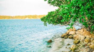 Balai sa Bundok Bolinao - 4