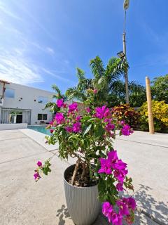 Suite frente al Mar con Acceso Directo a la Playa - 9