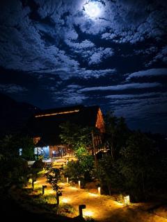 Hillsedge Haputale - 3