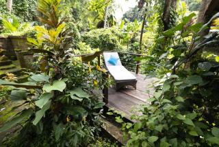 TREEHOUSE with private pool near YOGABARN - in Ubud center - ADULT ONLY - 7