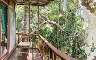 TREEHOUSE with private pool near YOGABARN - in Ubud center - ADULT ONLY - 8