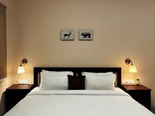Olive Studio Room in the heart of the city - 3