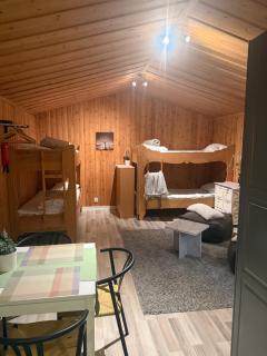 Sälen, 15 minutes from the ski slopes - 2