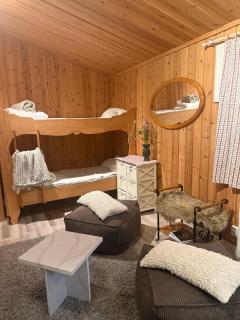 Sälen, 15 minutes from the ski slopes - 1