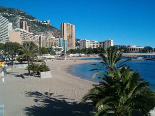 Palais Josephine Apartment - 5 meters to Monaco and free parking - 9