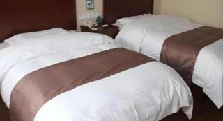 GreenTree Inn LiaoCheng LinQing HaiShan Building Express Hotel - 2