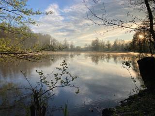 Ferienhäuser Ilsensee Schillingsfürst - 4