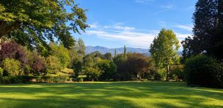 Hawley House - 7