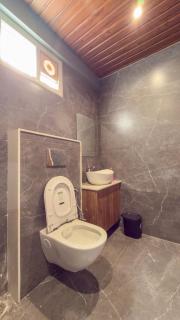 Skylux by Vibella, 1BHK Penthouse - 5