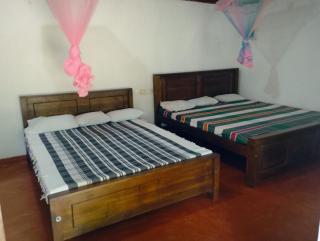 Green garden villa - 0