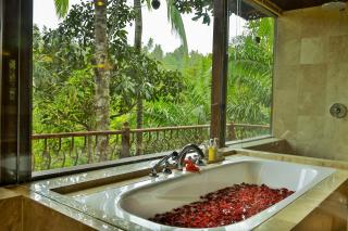 Ayung Resort Ubud - Payangan - 3